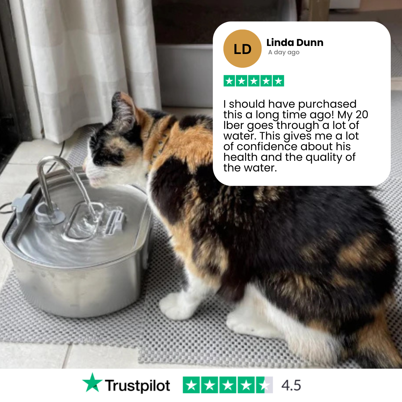 Give Your Cat a Longer, Healthier Life With Elyrise™
