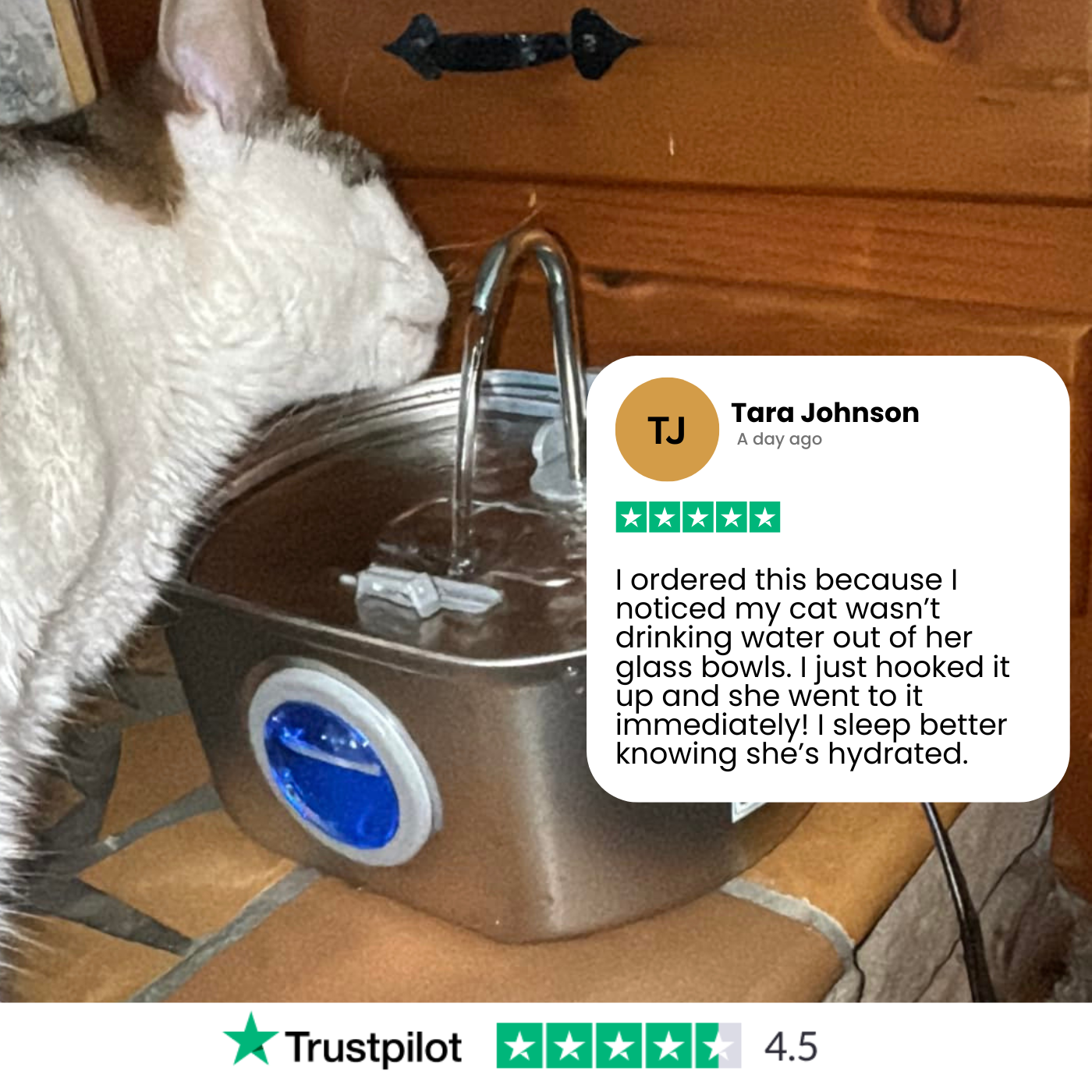 Give Your Cat a Longer, Healthier Life With Elyrise™